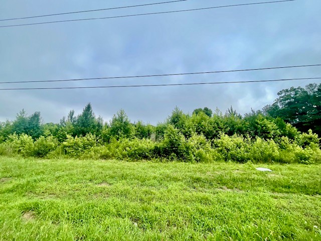 0 Southeast Tilton Road Dalton, GA 30721 - Photo 3 of 5 Gallery Image 3