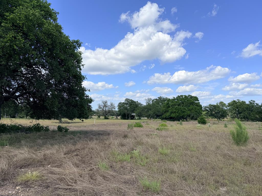485 Inspiration Loop, Unit 103 Comfort, TX 78013 - Photo 5 of 22