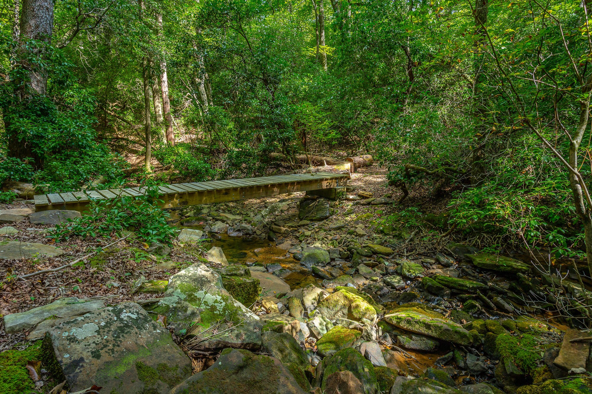 6 Highlands Forest Road Cloudland, GA 30731 - Photo 45 of 100 Gallery Image 45