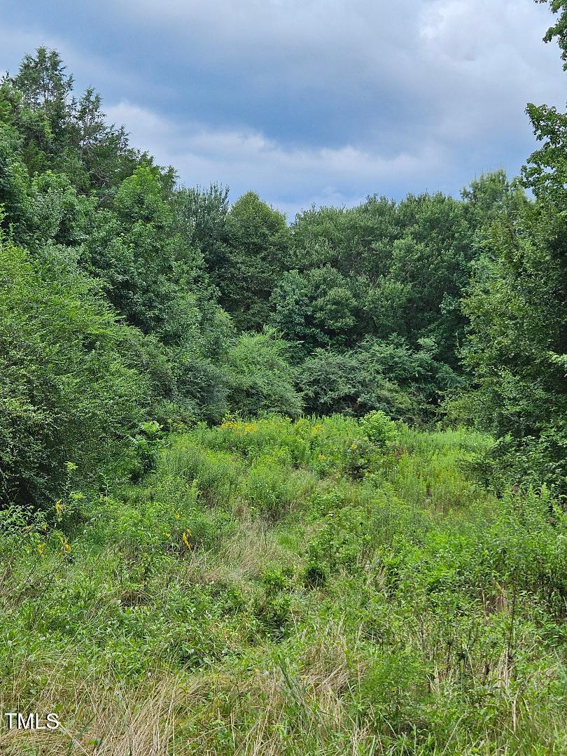 844 East Chrisco Road Seagrove, NC 27341 - Photo 3 of 10 chriscoe.meadow2
