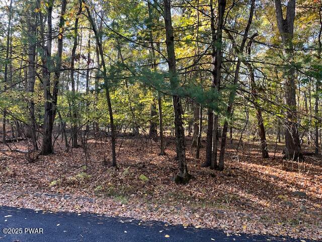 Lot 332 Racoon Road Dingmans Ferry, PA 18328 - Photo 5 of 9