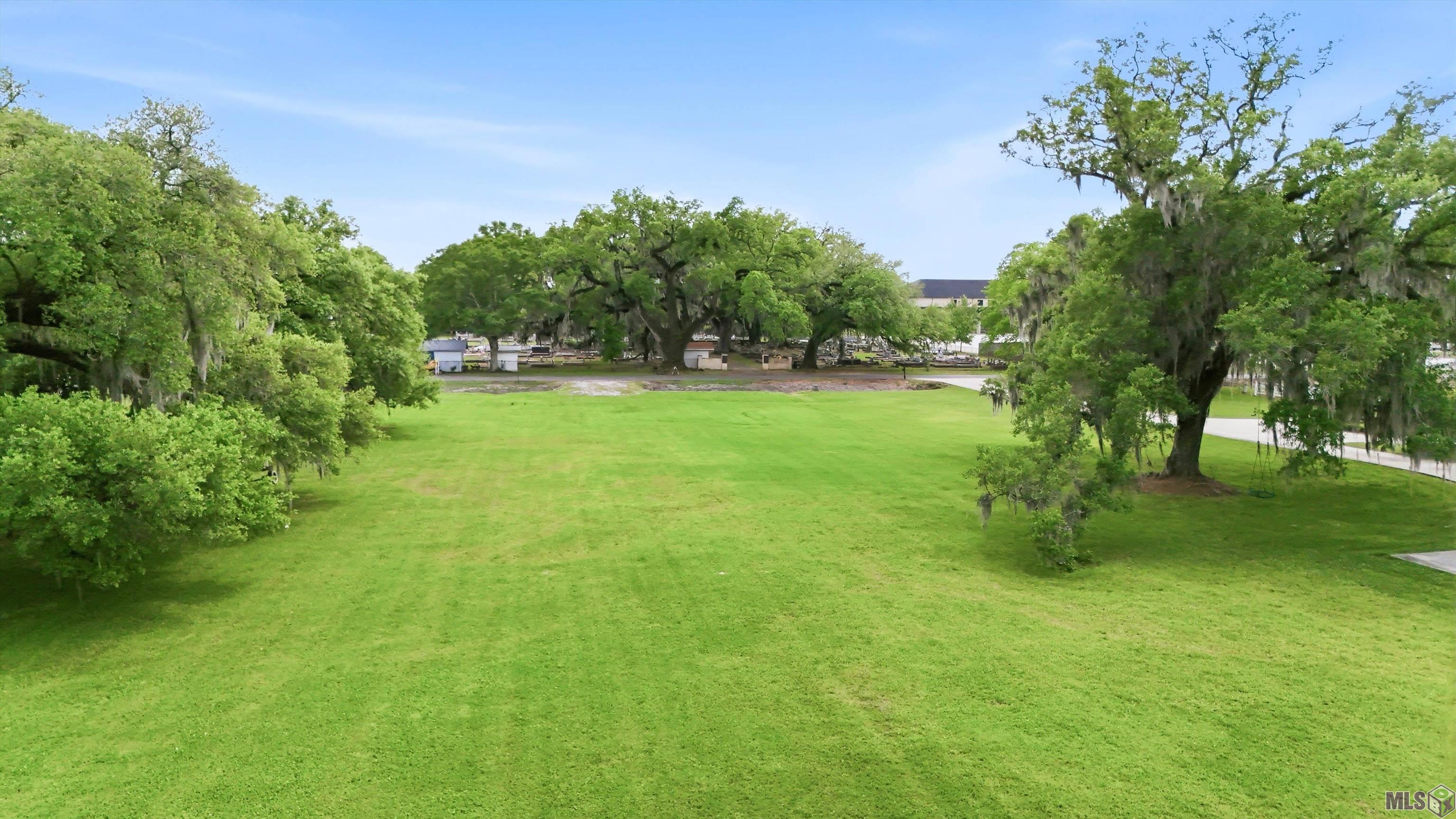 37480 Duplessis Road Prairieville, LA 70769 - Photo 2 of 10 Gallery Image 2