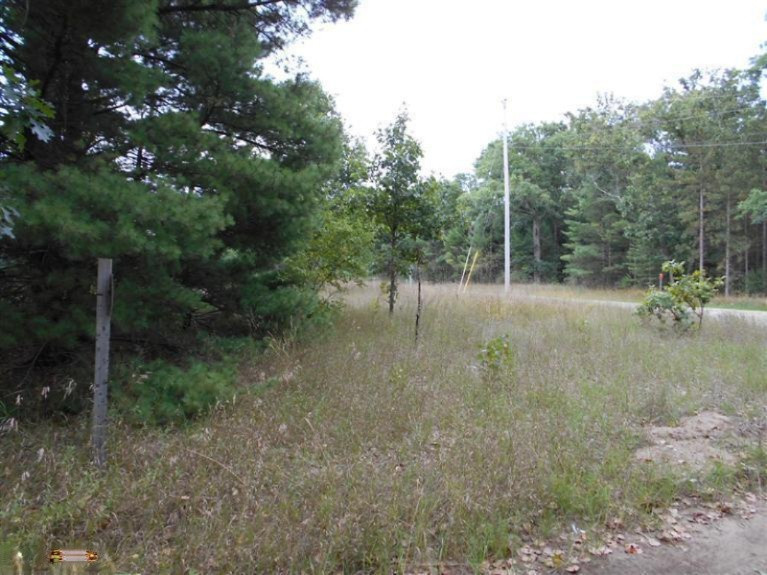Linderman Road Holton, MI 49425 - Photo 8 of 20 Additional Photo
