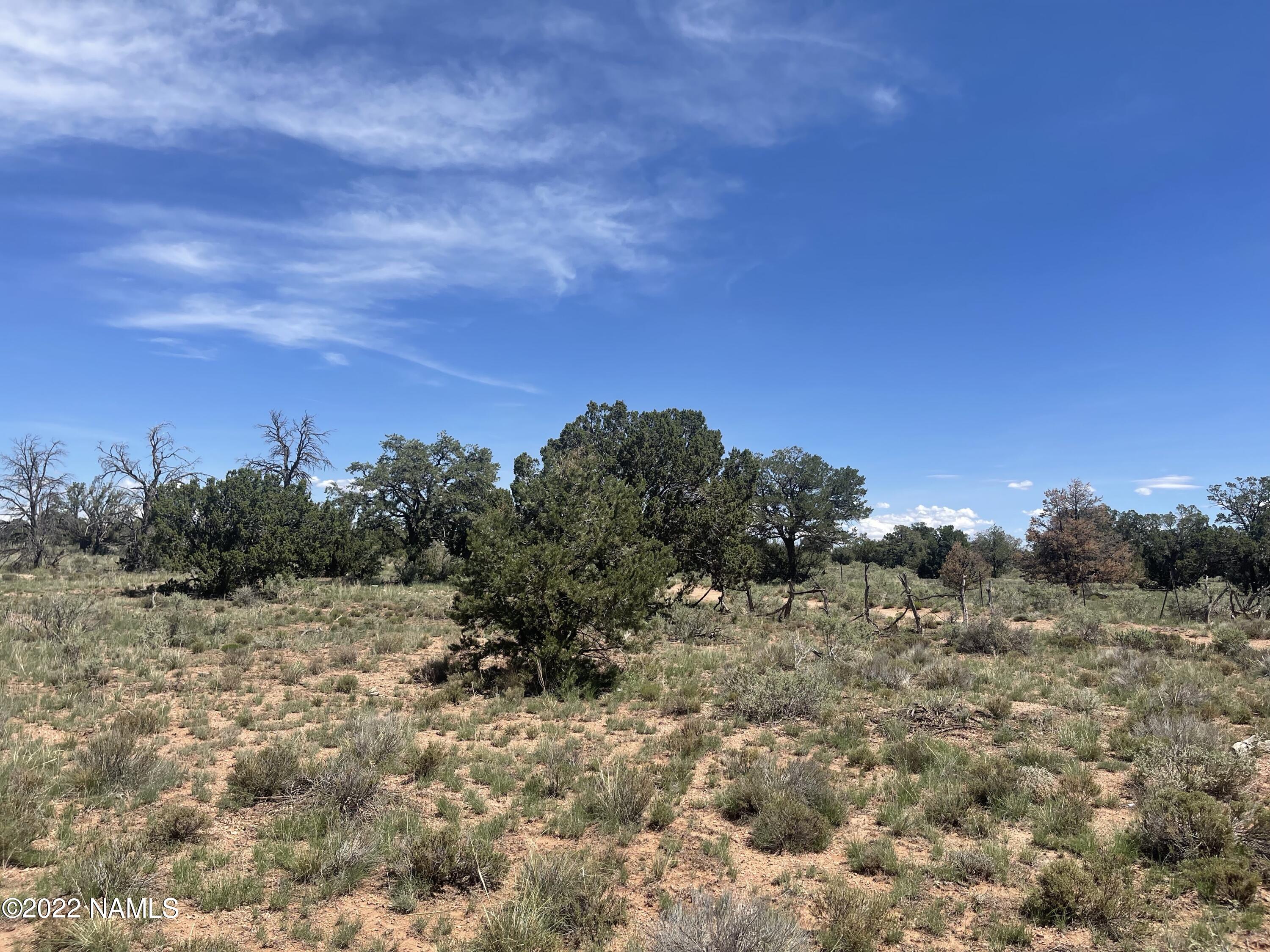 3625 High Grv Road, Unit LOT 3 Williams, AZ 86046 - Photo 1 of 12 3525 E Highgrove Rd Photo 8