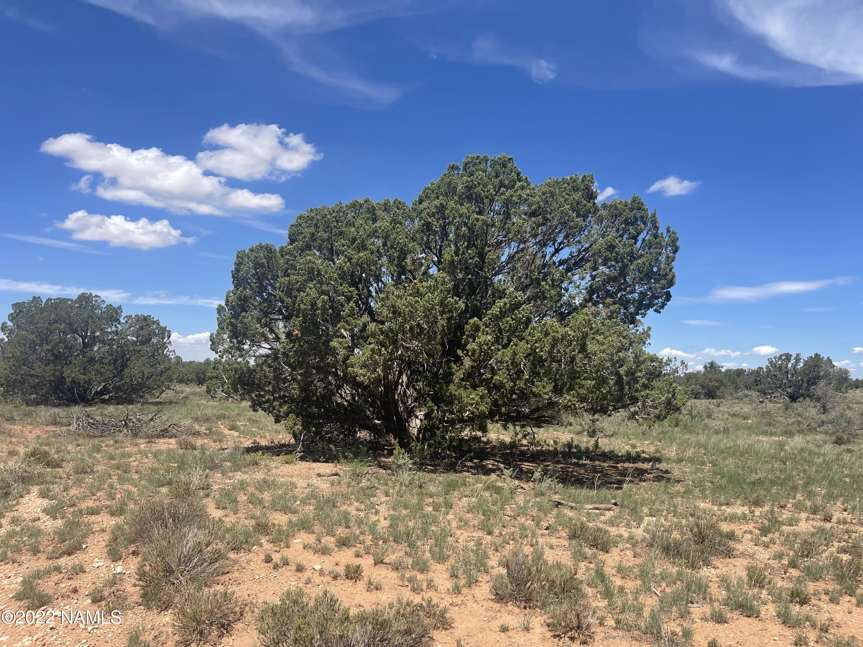 3625 High Grv Road, Unit LOT 3 Williams, AZ 86046 - Photo 2 of 12 3525 E Highgrove Rd
