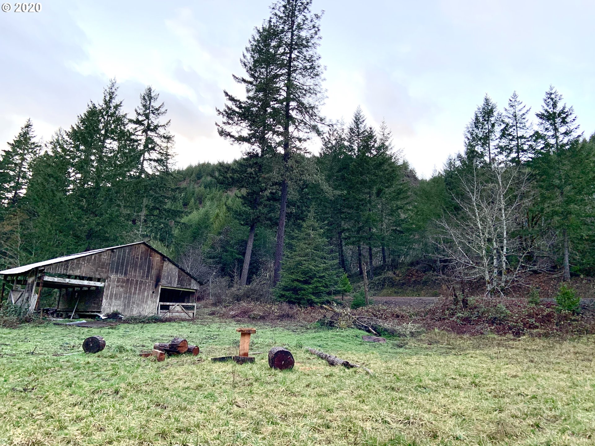 9995 Upper Olalla Road Winston, OR 97496 - Photo 11 of 29 a small garden covered with tall trees