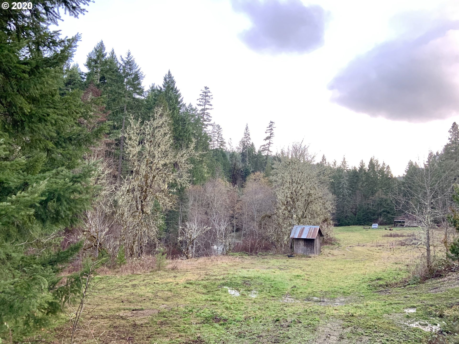 9995 Upper Olalla Road Winston, OR 97496 - Photo 12 of 29 a backyard of a house with lots of green space