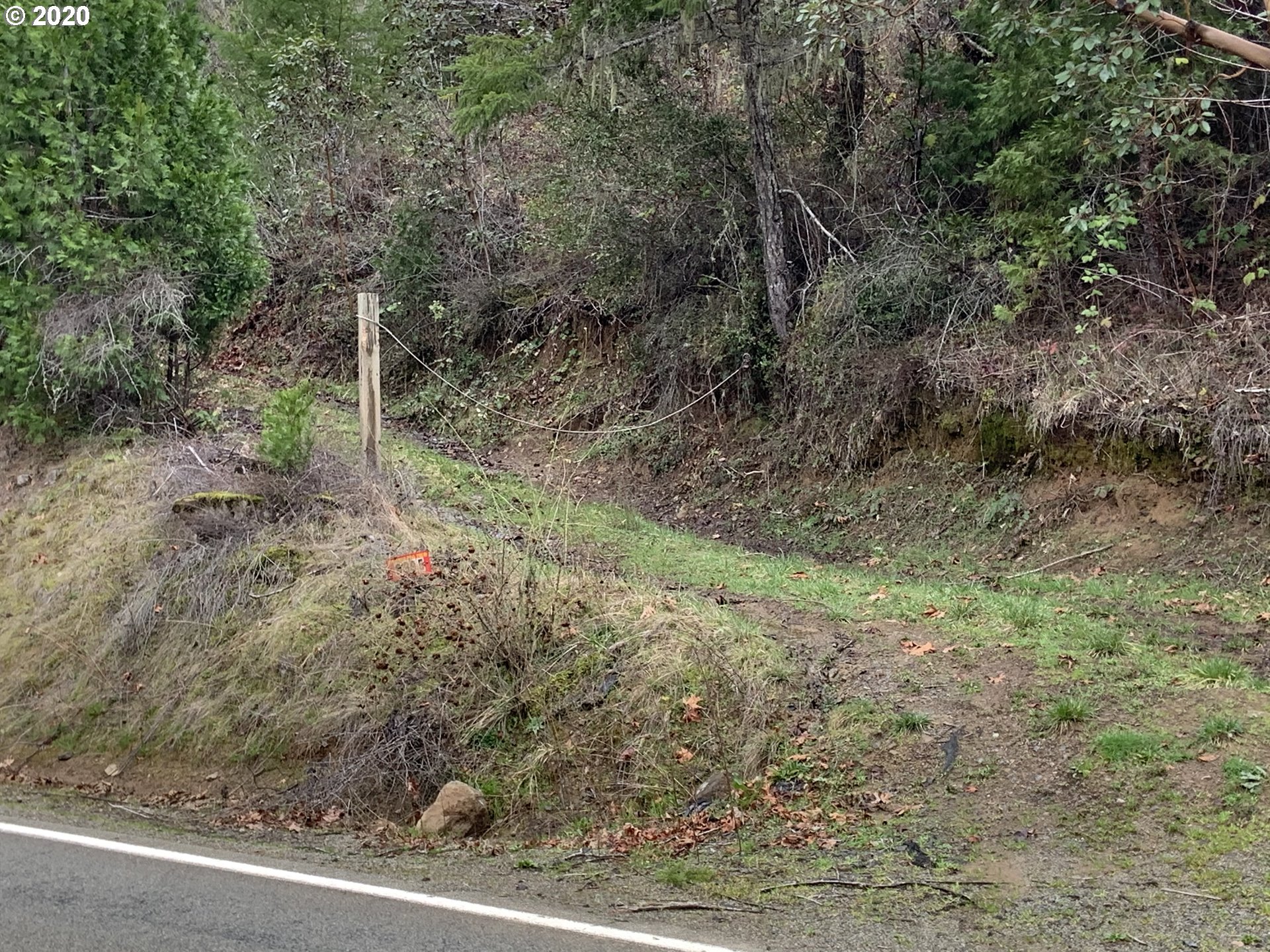 9995 Upper Olalla Road Winston, OR 97496 - Photo 20 of 29 a view of a forest with trees in the background