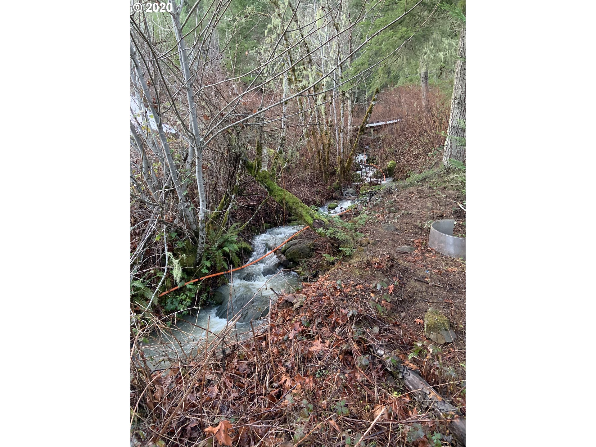 9995 Upper Olalla Road Winston, OR 97496 - Photo 5 of 29 a backyard of a house