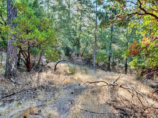 a backyard of a house with lots of green space