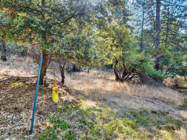 a backyard of a house with a yard and outdoor seating