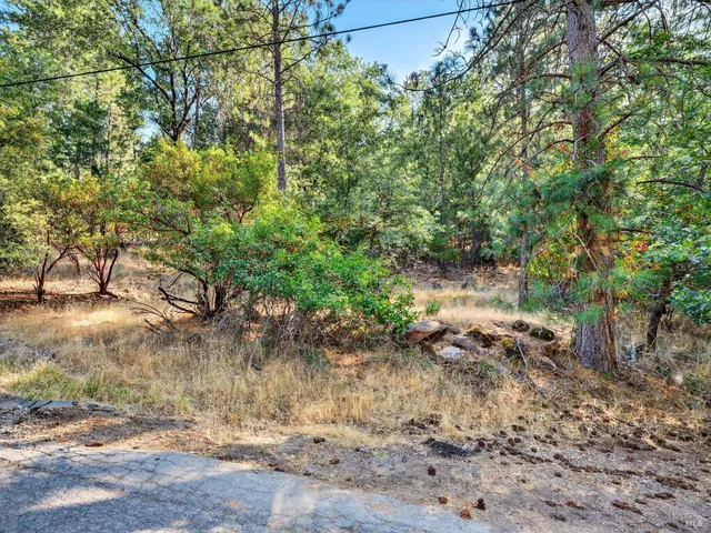 a sign that is sitting in a forest