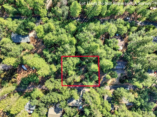 a view of a flower arrangement in a garden