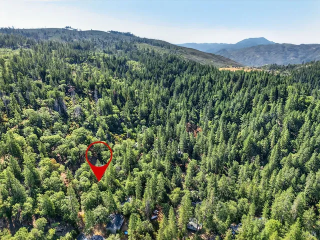 a view of a lush green field with mountains in the background