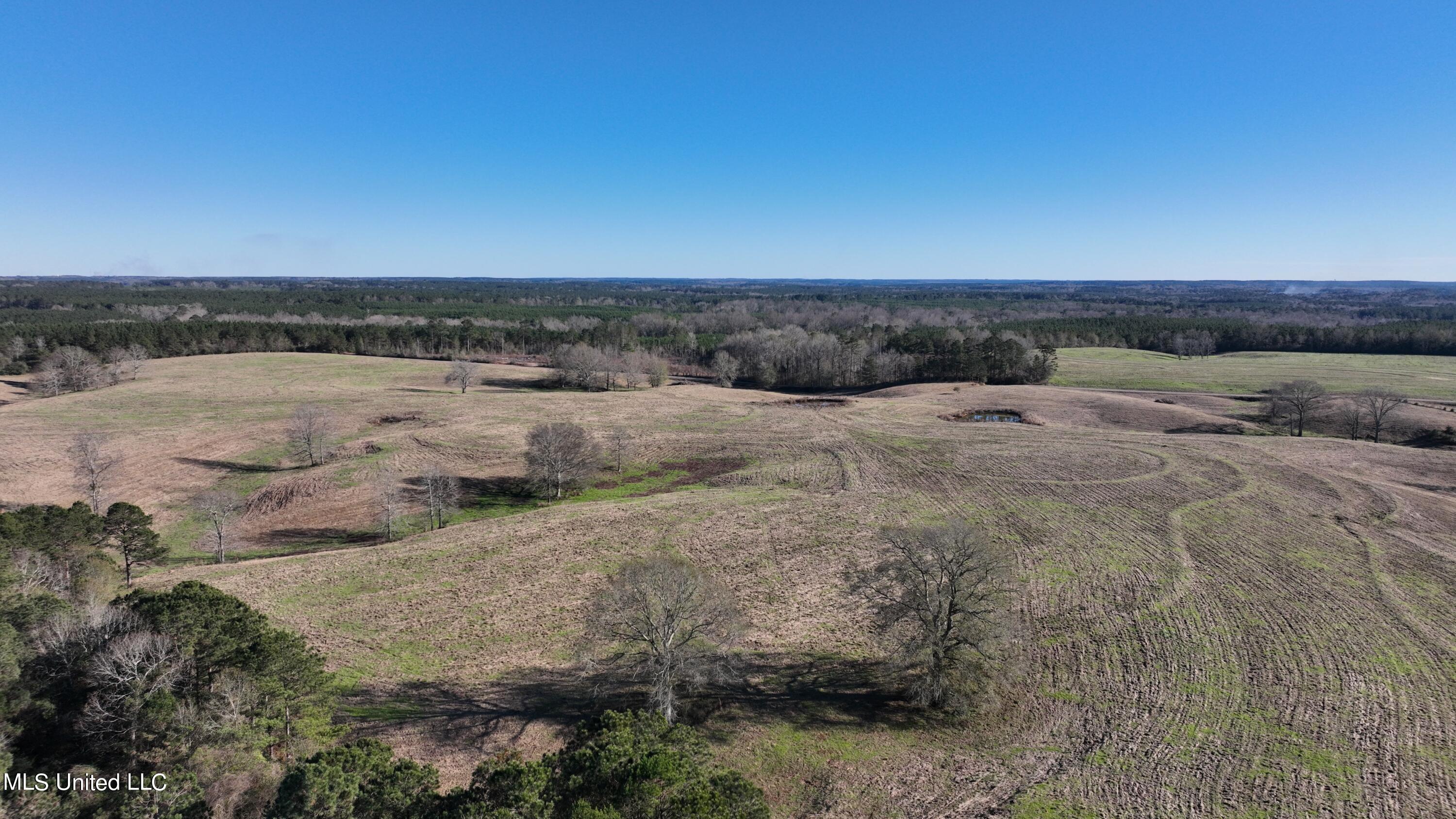 6 Friendship Road Carson, MS 39427 - Photo 17 of 24 Photo_1080295548_DJI_124_jpg_11406085_0_