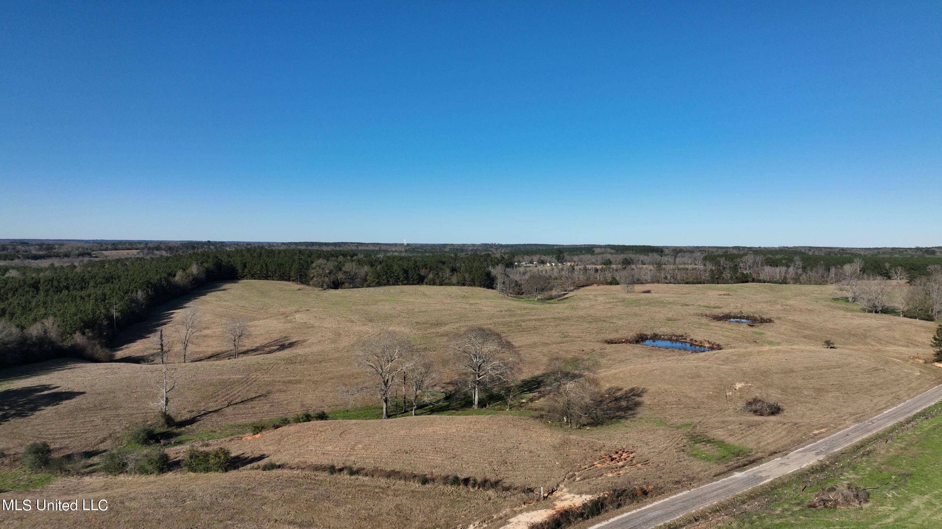 6 Friendship Road Carson, MS 39427 - Photo 6 of 24 Photo_1080295575_DJI_151_jpg_10416770_0_