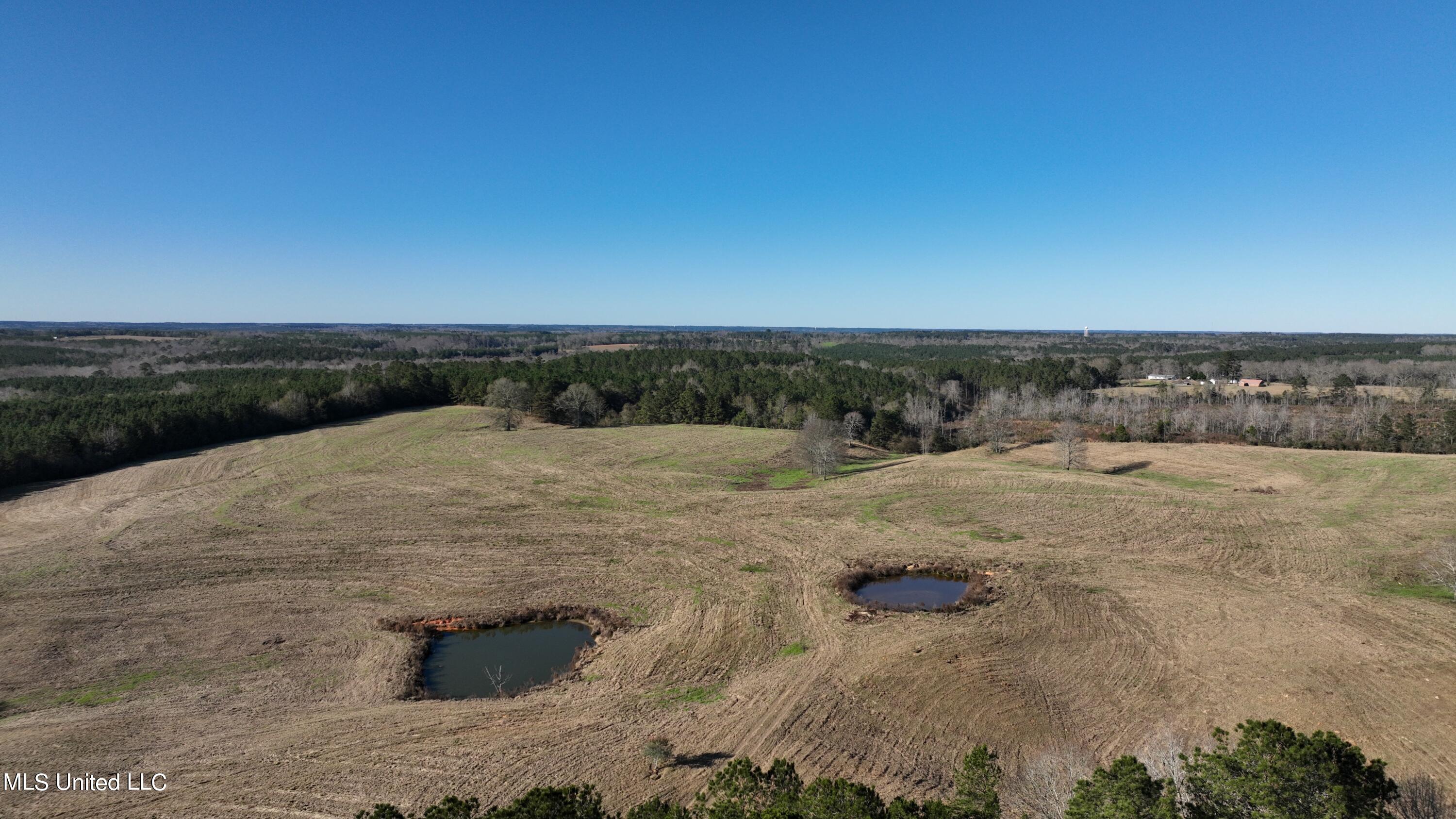 6 Friendship Road Carson, MS 39427 - Photo 10 of 24 Photo_1080295521_DJI_97_jpg_11034667_0_2