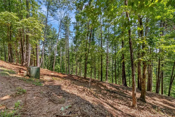 $240,000 | 117 Links View Court, Sunset, SC 29685
