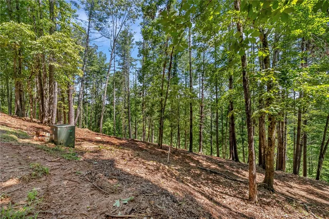 $240,000 | 117 Links View Court, Sunset, SC 29685