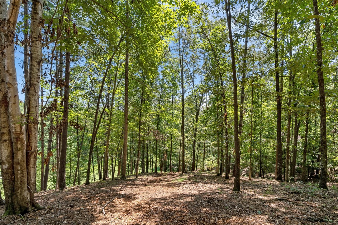 121 Links View Court Sunset, SC 29685 - Photo 12 of 23