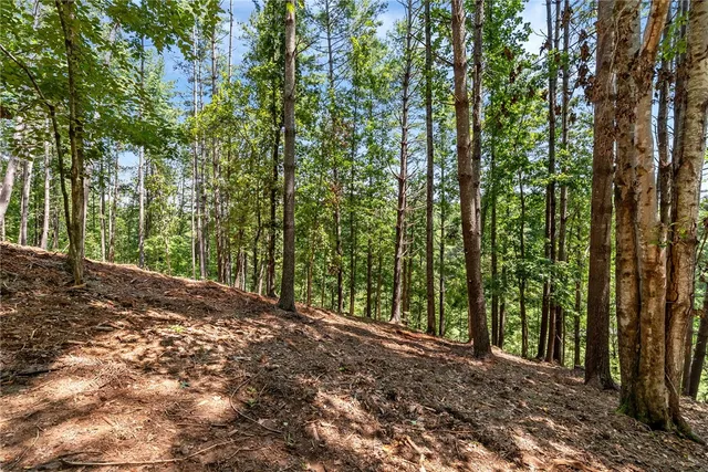 $240,000 | 117 Links View Court, Sunset, SC 29685