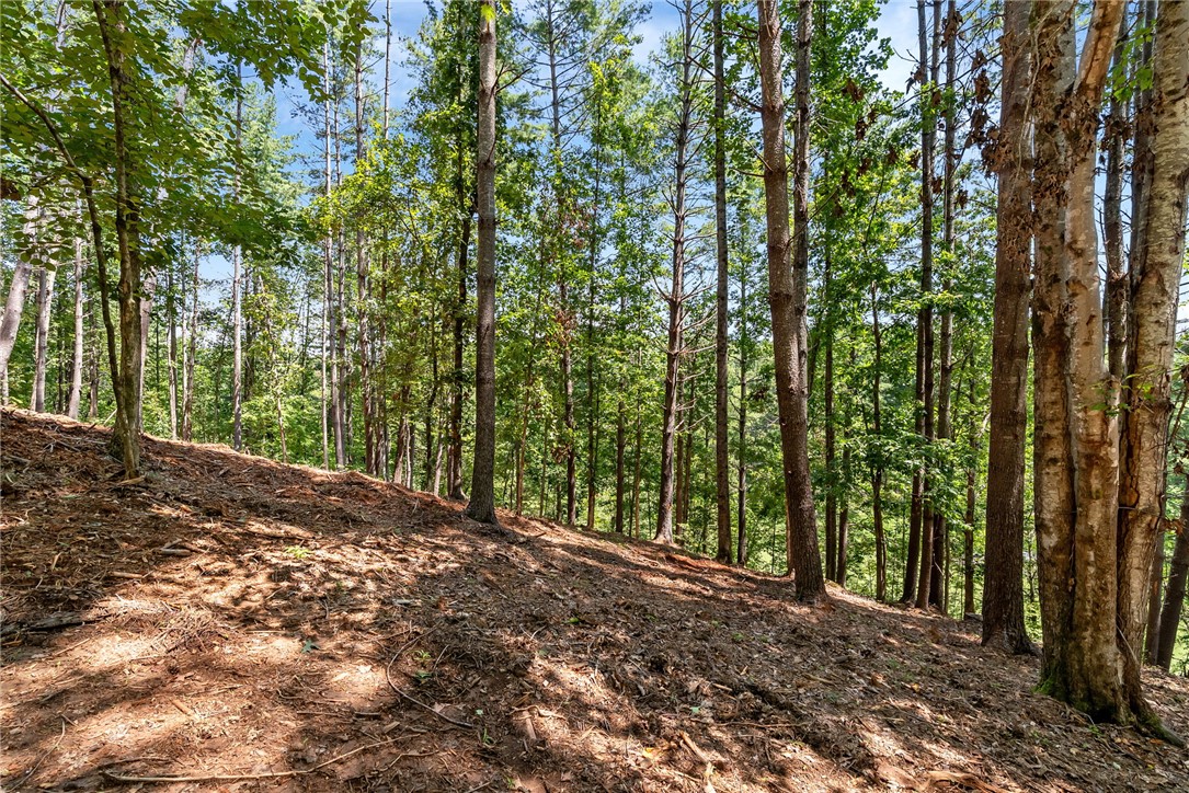 121 Links View Court Sunset, SC 29685 - Photo 13 of 23