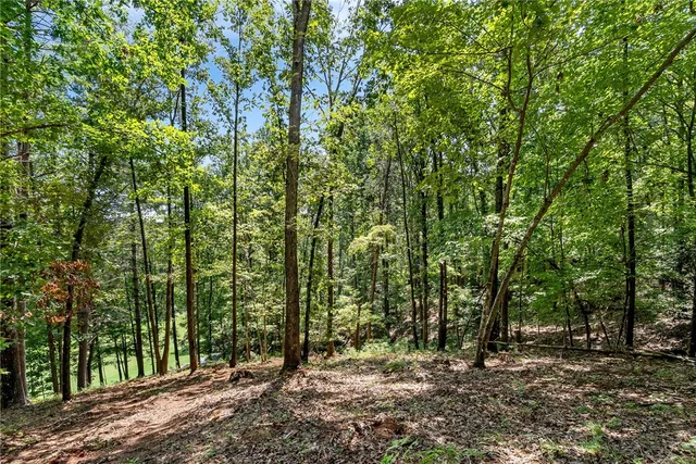 $240,000 | 117 Links View Court, Sunset, SC 29685