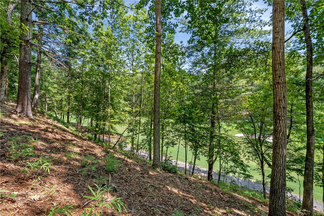 121 Links View Court Sunset, SC 29685 - Photo 16 of 23