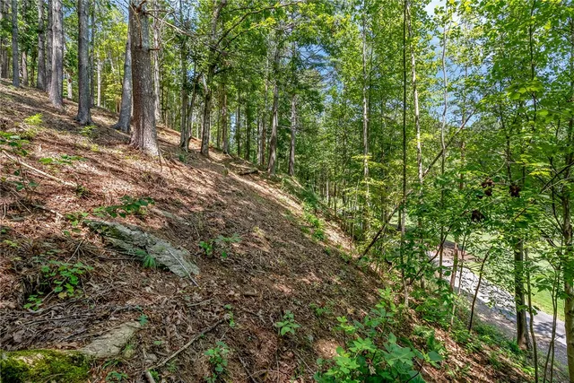 $240,000 | 117 Links View Court, Sunset, SC 29685