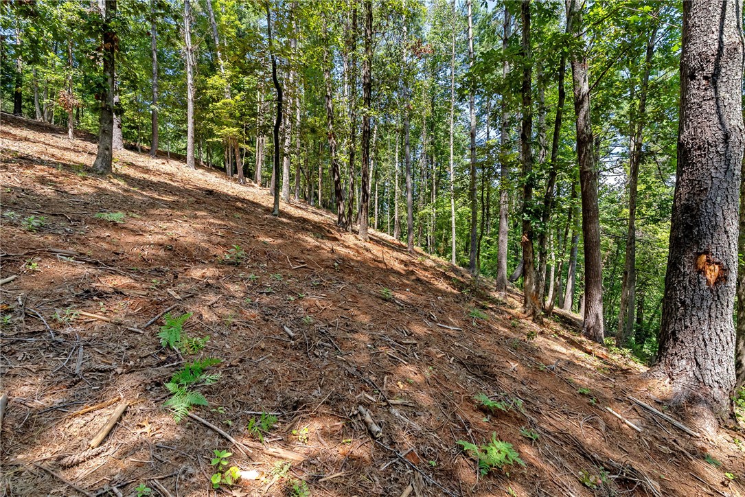 121 Links View Court Sunset, SC 29685 - Photo 18 of 23