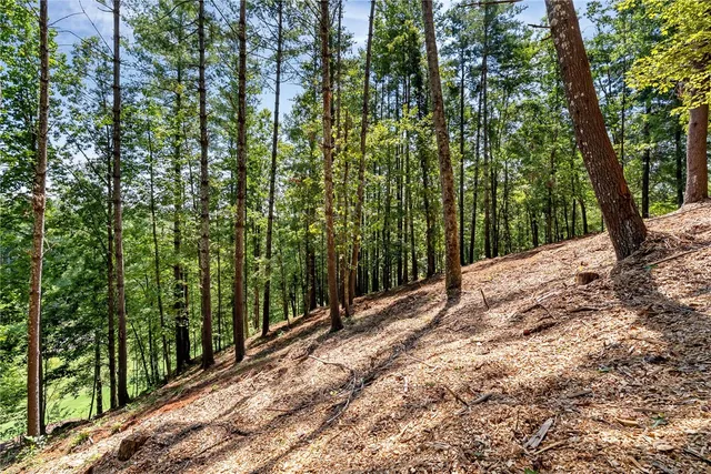 $240,000 | 117 Links View Court, Sunset, SC 29685