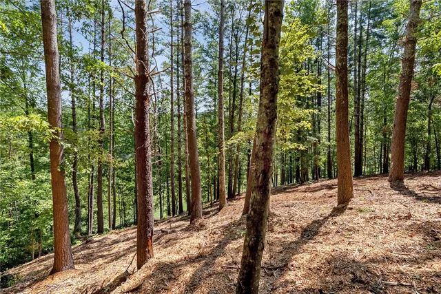 $240,000 | 117 Links View Court, Sunset, SC 29685