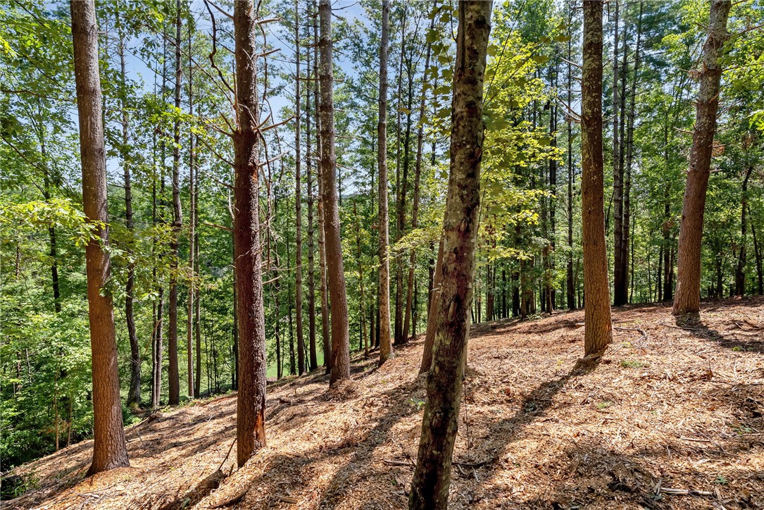 121 Links View Court Sunset, SC 29685 - Photo 21 of 23