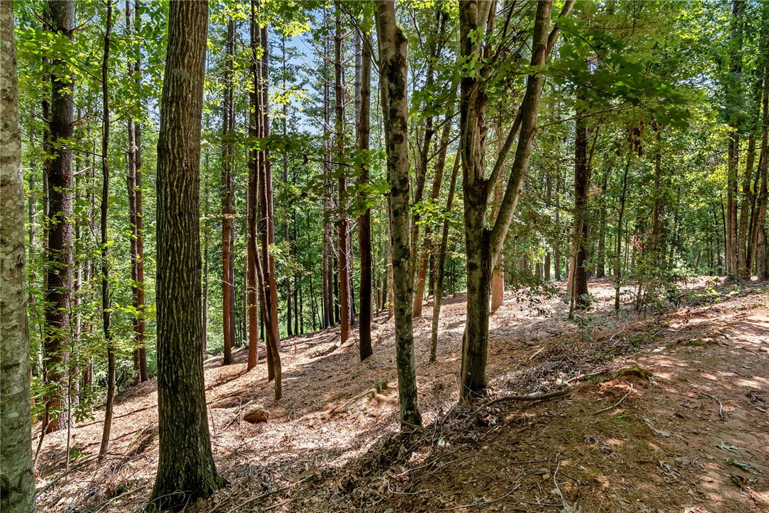 121 Links View Court Sunset, SC 29685 - Photo 22 of 23