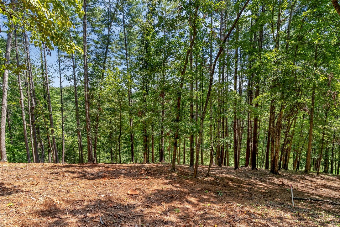 121 Links View Court Sunset, SC 29685 - Photo 23 of 23