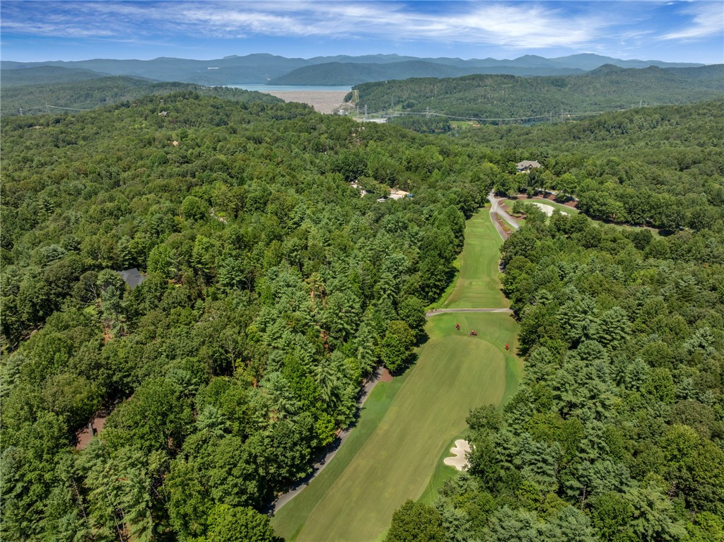 121 Links View Court Sunset, SC 29685 - Photo 5 of 23