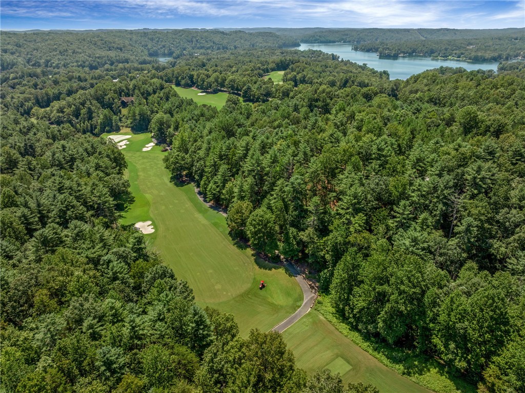 121 Links View Court Sunset, SC 29685 - Photo 7 of 23