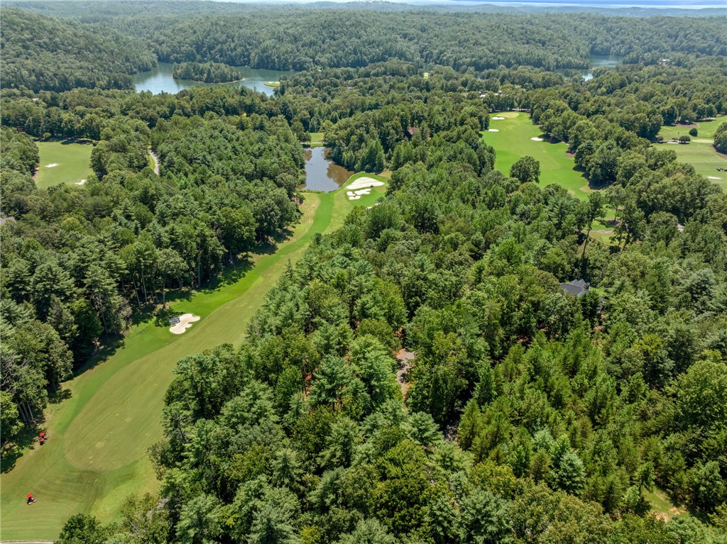 121 Links View Court Sunset, SC 29685 - Photo 8 of 23