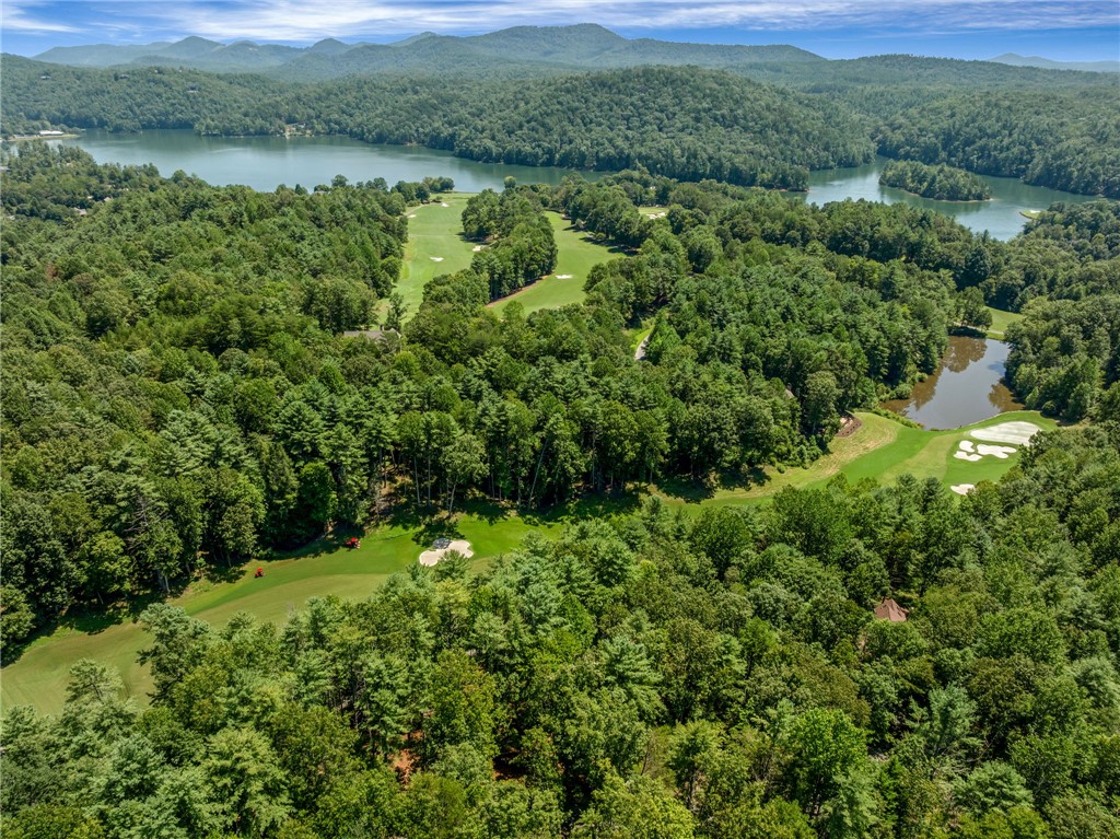 121 Links View Court Sunset, SC 29685 - Photo 9 of 23