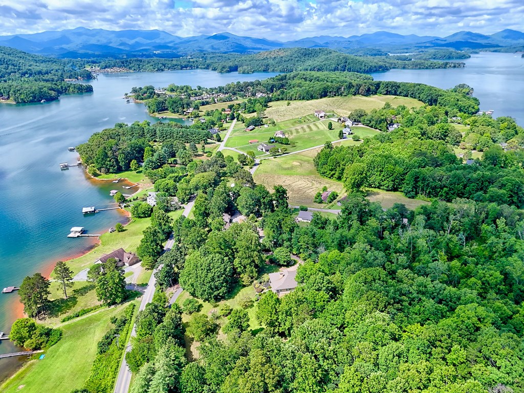 136 Elf School Road Hayesville, NC 28904 - Photo 2 of 84 a view of a garden with a building in the back