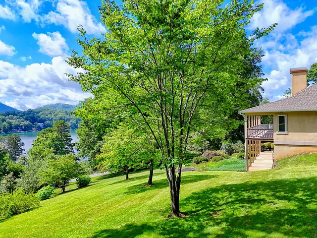 a view of a backyard with table and chairs and a tree