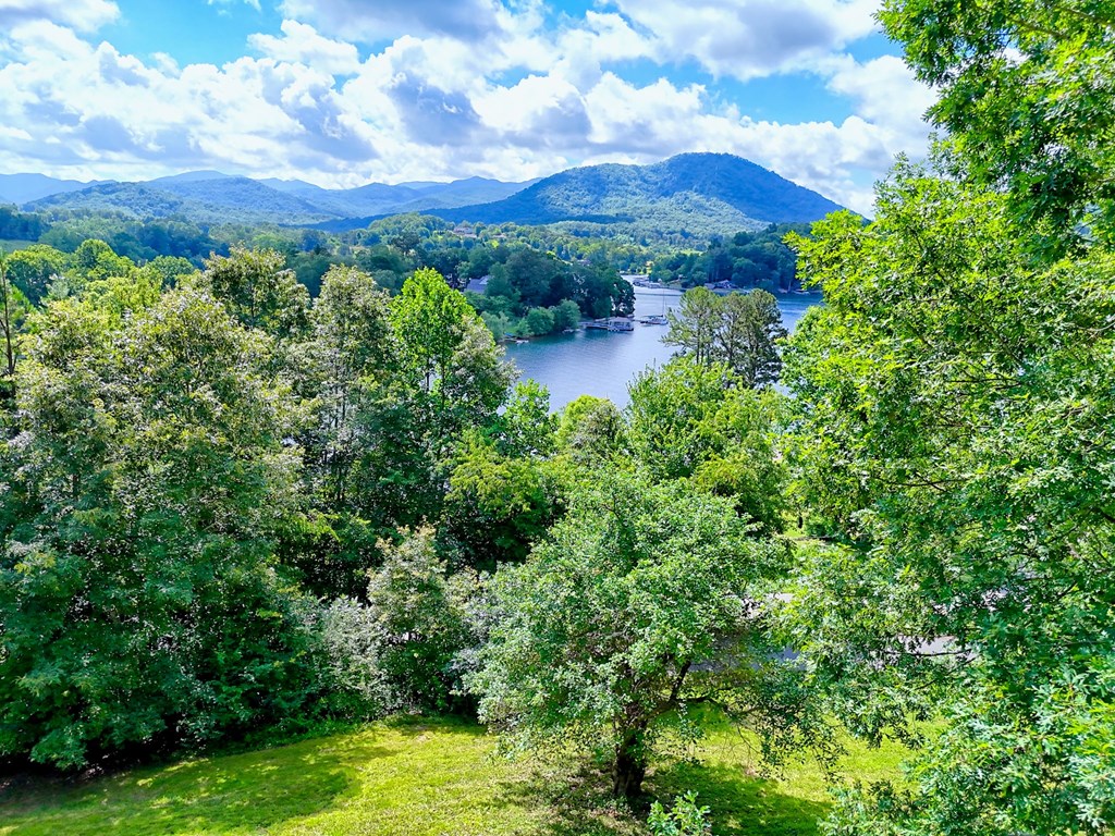 136 Elf School Road Hayesville, NC 28904 - Photo 6 of 84