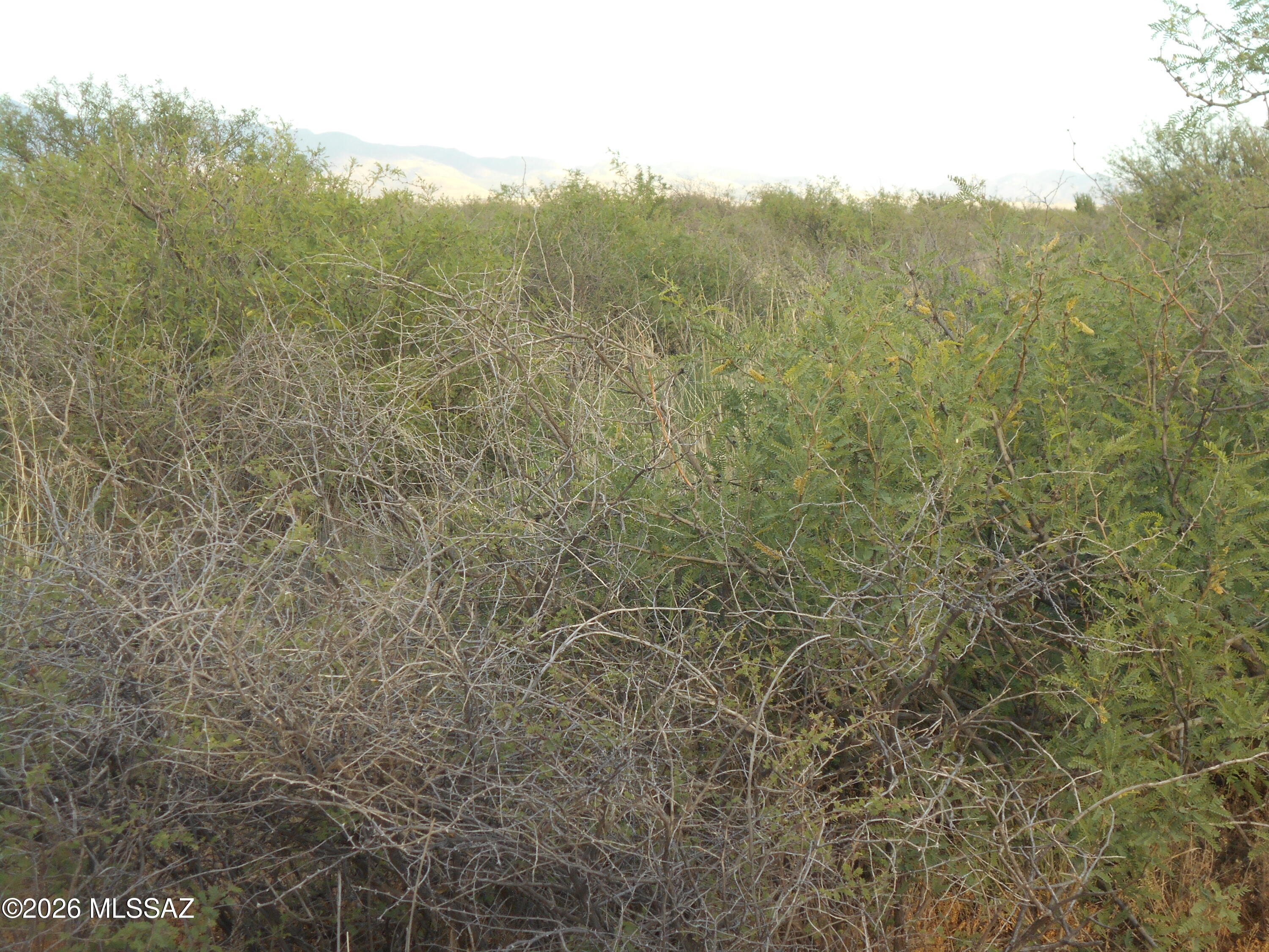 13684 South Tyree Road, Unit 70 Pearce, AZ 85625 - Photo 29 of 37