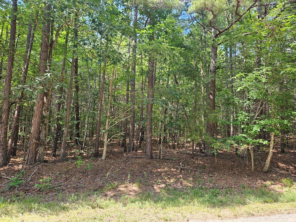 Twin Bridges Road Green Bay, VA 23942 - Photo 2 of 10 Gallery Image 2