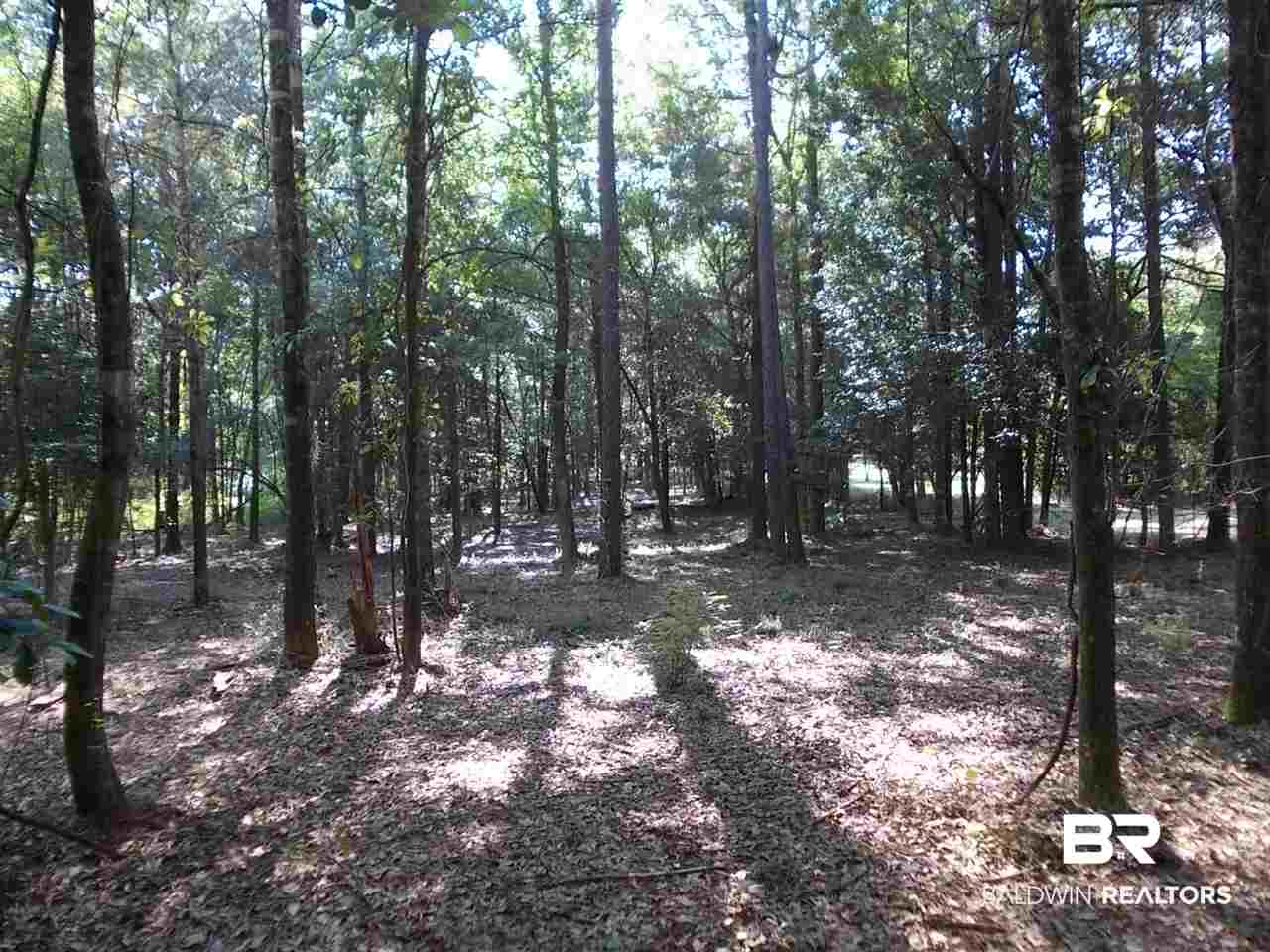 0 Ernest Patterson Road Robertsdale, AL 36567 - Photo 14 of 14