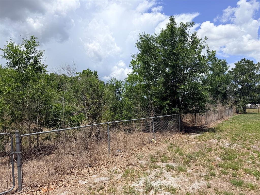 33 Ridge Road Frostproof, FL 33843 - Photo 20 of 21 a backyard of a house with lots of green space