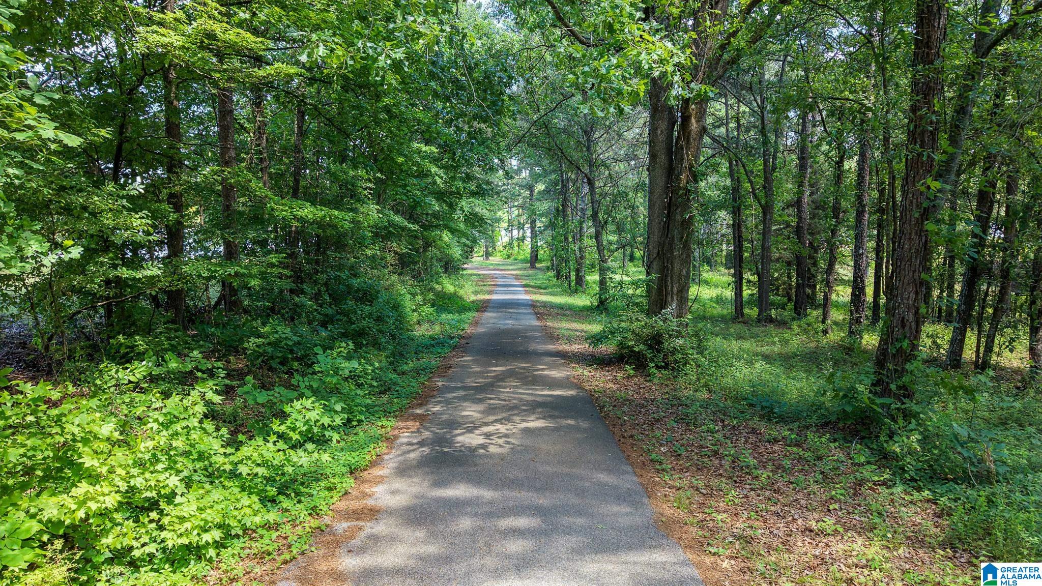 885 Lock 4 Road Riverside, AL 35135 - Photo 60 of 68