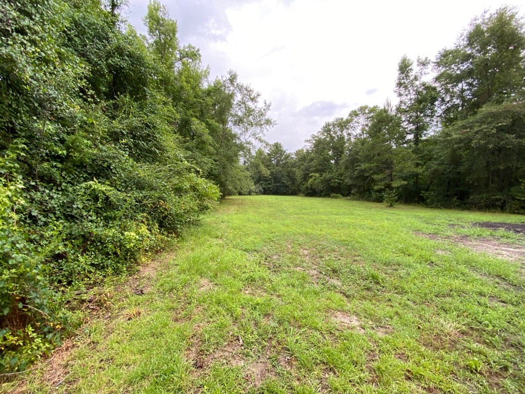 2242 Coot Adams Road Ashford, AL 36312 - Photo 18 of 39