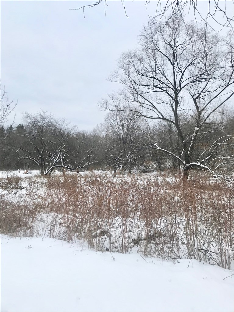 0 Daansen Road Palmyra, NY 14522 - Photo 1 of 1 Gallery Image 1