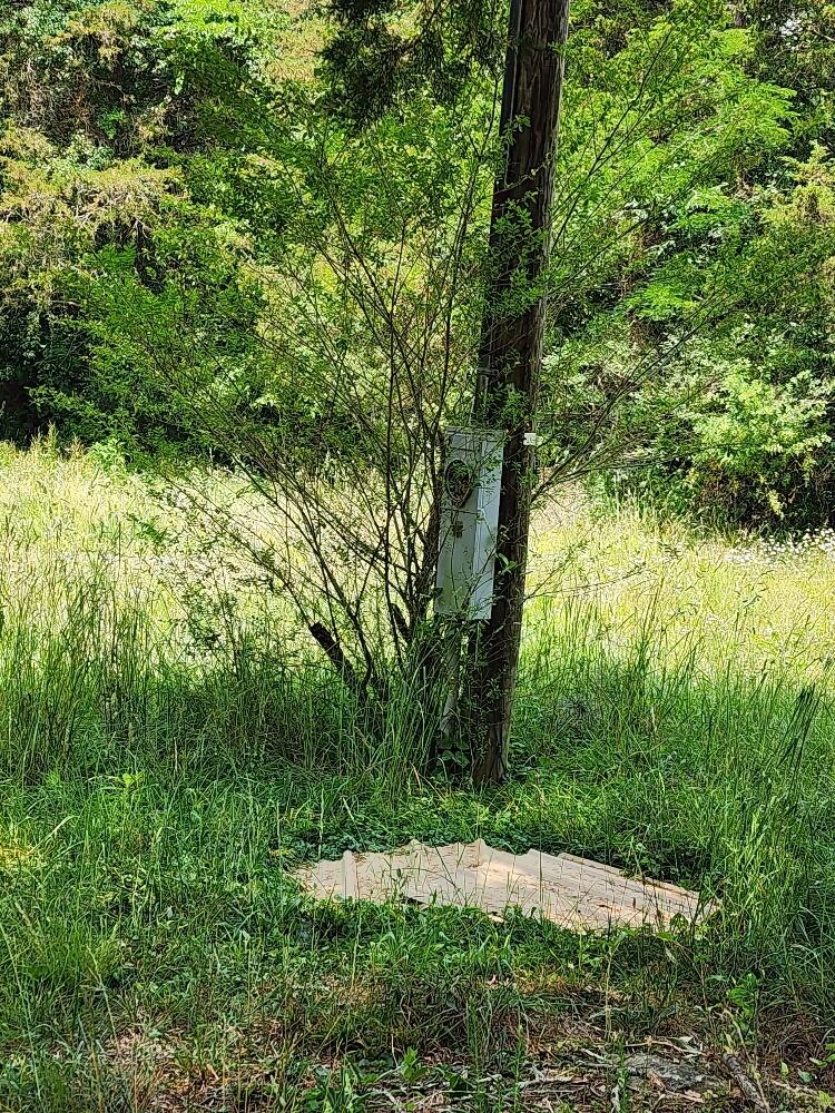 399 Coomer Road Burnside, KY 42519 - Photo 41 of 65 2nd power hook up for RV on property